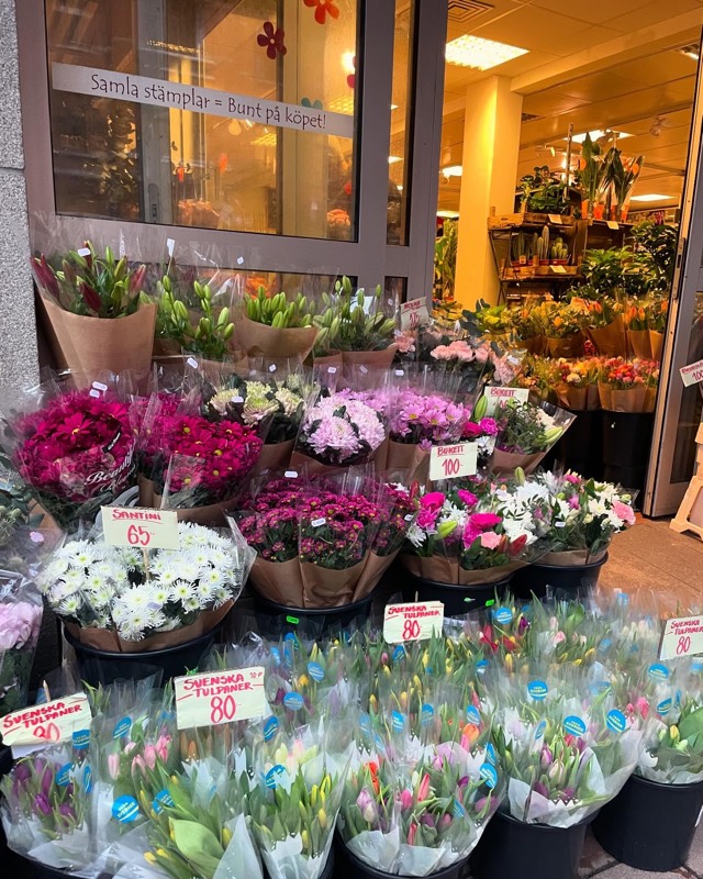 Blommor och gröna växter på trottoaren utanför butiken på Linnégatan